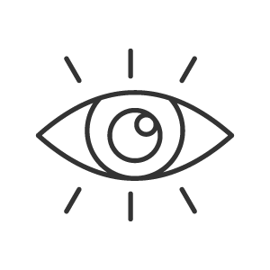 Vision